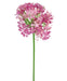 Kunstig Blomst Allium Violet