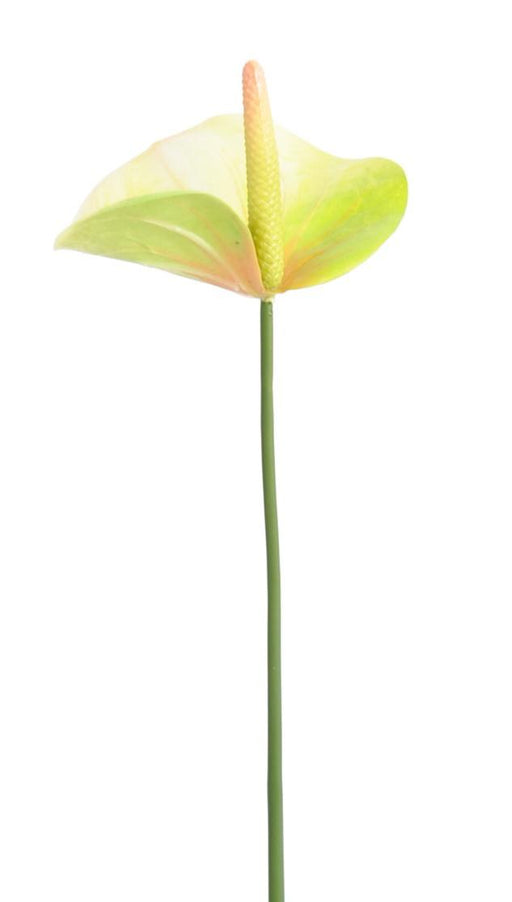 Kunstig Blomst Anthurium Grøn 60Cm Dekoration