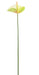 Kunstig Blomst Anthurium Grøn 60Cm Dekoration