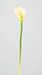 Kunstig Hvid Arumsblomst 44 Cm Til Indretning