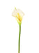 Kunstig Hvid Arumsblomst 44 Cm Til Indretning