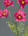 Kunstig Blomst Cosmos Fuchsia 67 Cm Blomsterdekoration