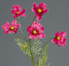 Kunstig Blomst Cosmos Fuchsia 67 Cm Blomsterdekoration