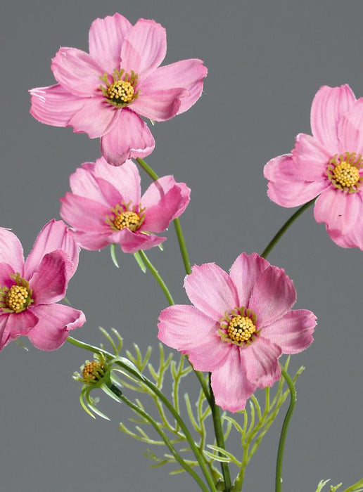 Kunstig Blomst Cosmos Pink 67 Cm Blomsterarrangement