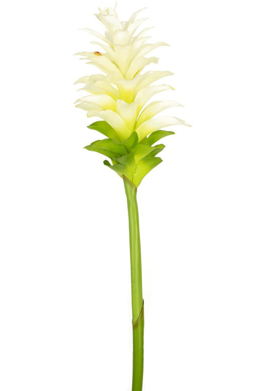 Kunstig Blomstergurkemeje