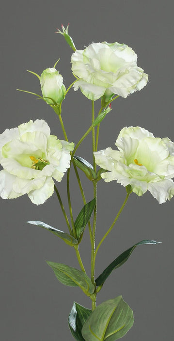 Kunstig Blomst Lisianthus Creme 83Cm