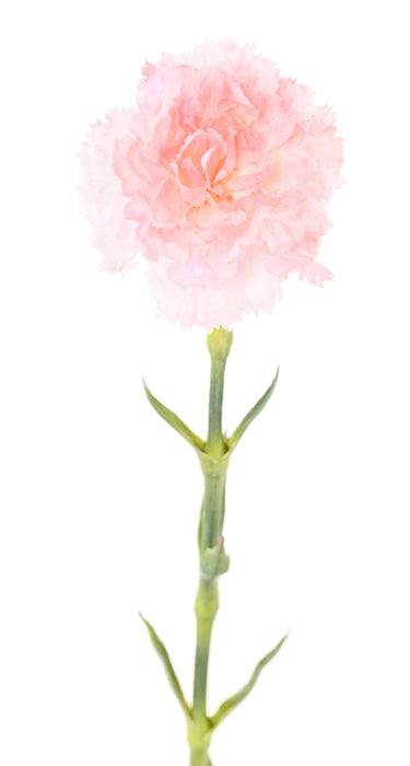 Kunstig Blomst Pink Nellike H.55Cm Til Buket