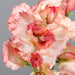 Kunstig Blomst Sweet Pea Lys Pink 46Cm