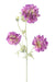 Kunstig Blomst Scabious Lilla 75 Cm Dekorativ Stængel