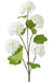 Kunstige Blomst Viburnum Bolde Hvide 75Cm