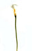 Kunstig Calla Blomst 90Cm Hvid Til Dekoration
