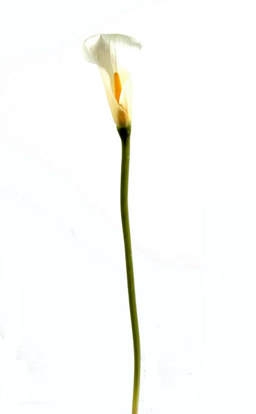 Kunstig Calla Blomst 90Cm Hvid Til Dekoration