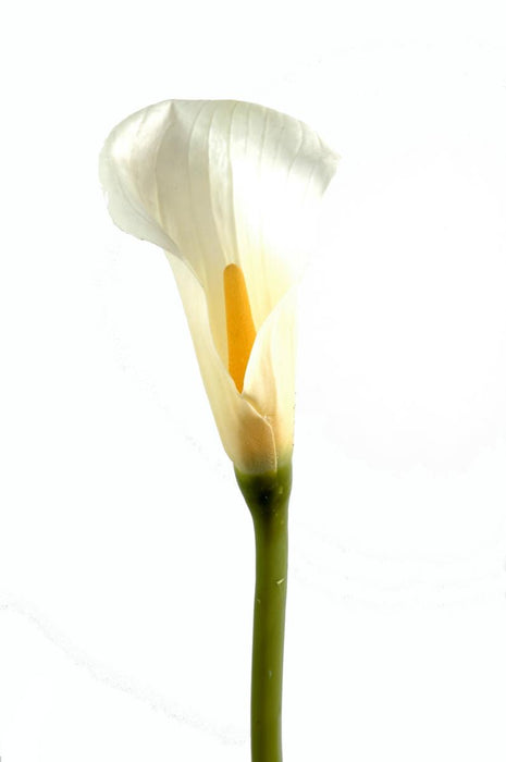 Kunstig Calla Blomst 90Cm Hvid Til Dekoration
