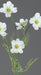 Kunstig Kosmos Blomstercreme 67 Cm Blomsterarrangement