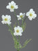 Kunstig Kosmos Blomstercreme 67 Cm Blomsterarrangement