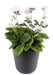 Kunstig Stedmoderblomst 26 Cm Indendørs Plante Hvid Lavendel