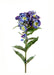 Blå Kunstig Phlox Blomst 70 Cm Indvendig Dekoration