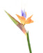 Kunstig Strelitzia Flower Orange 80Cm Dekoration