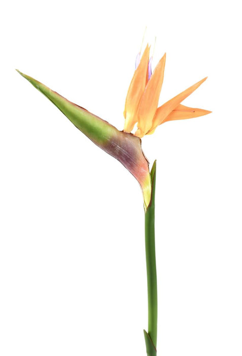 Kunstig Strelitzia Flower Orange 80Cm Dekoration