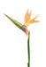 Kunstig Strelitzia Flower Orange 80Cm Dekoration
