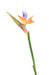 Kunstig Strelitzia Flower Orange 80Cm Dekoration