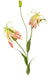 Kunstig Blomst Gloriosa Pink/Hvid