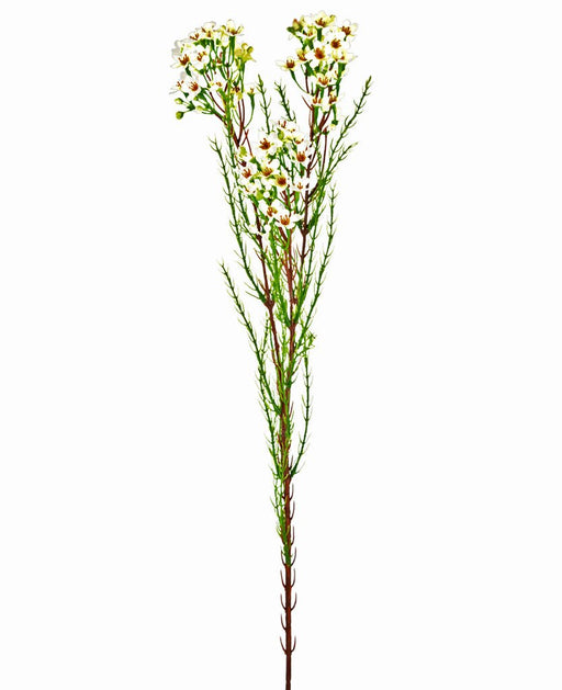 Voksblomst - Kunstigt Løv
