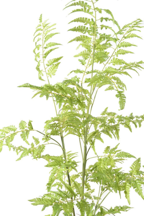 Kunstig Bregne 130 Cm Dekorativ Indendørs Plante