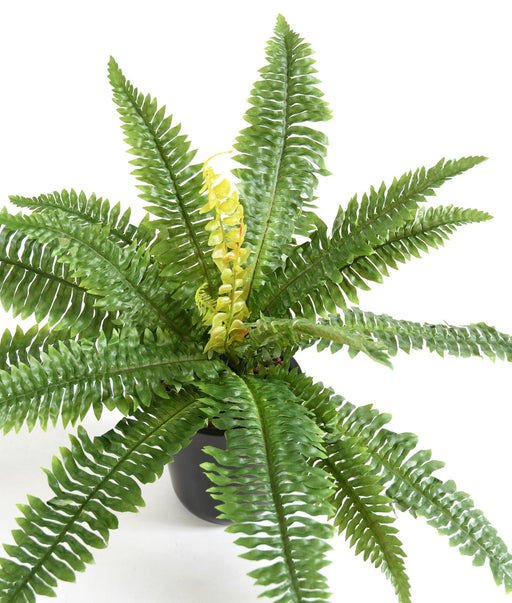 Kunstig Bregne 19 Blade 50 Cm Indendørs Plante