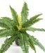 Kunstig Bregne 19 Blade 50 Cm Indendørs Plante