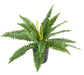 Kunstig Bregne 19 Blade 50 Cm Indendørs Plante