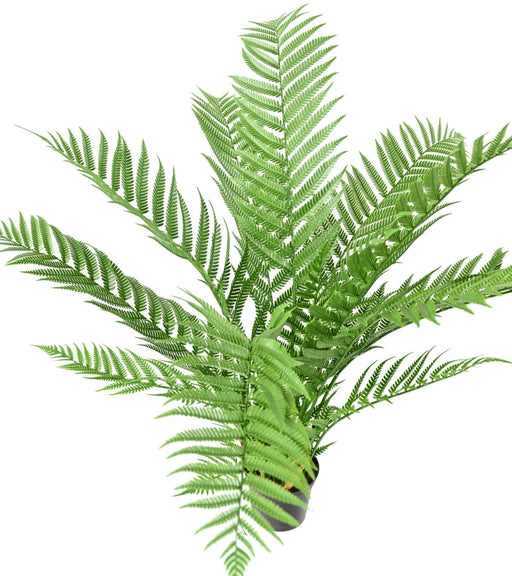 Kunstig Bregne Dicksonia H.60Cm I Pot