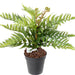 Kunstig Bregnestav 12 Grene 50 Cm Grøn