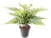 Kunstig Bregnestav 12 Grene 50 Cm Grøn