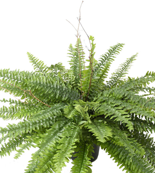 Kunstig Boston Bregne I Pot 80Cm Indvendig Dekoration