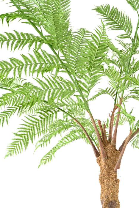 Kunstig Dicksonia-Bregne 320 Cm Til Indendørs