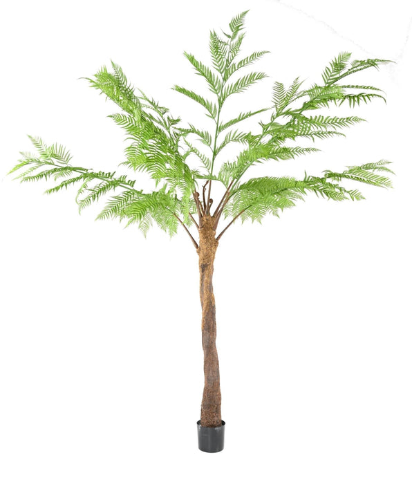 Kunstig Dicksonia-Bregne 320 Cm Til Indendørs