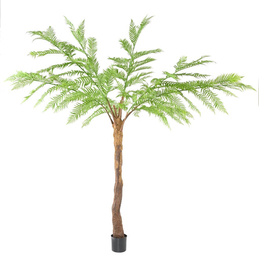 Kunstig Dicksonia-Bregne 320 Cm Til Indendørs