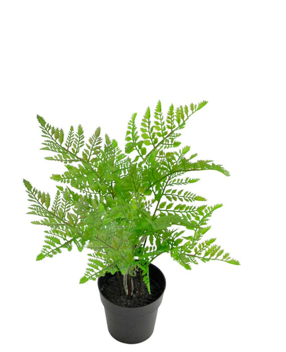 Bregne - Kunstig Grøn Plante
