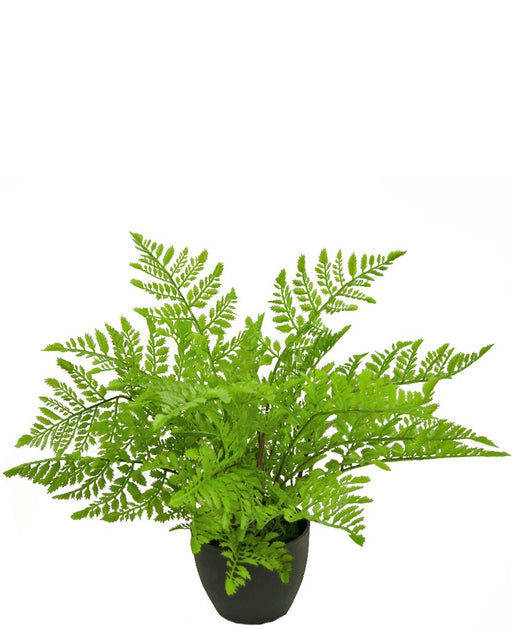 Indendørs Bregne - Kunstig Grøn Plante