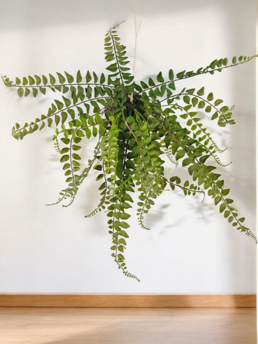 Bregne - Kunstig Faldende Plante