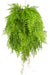 Bregne - Kunstig Faldende Plante