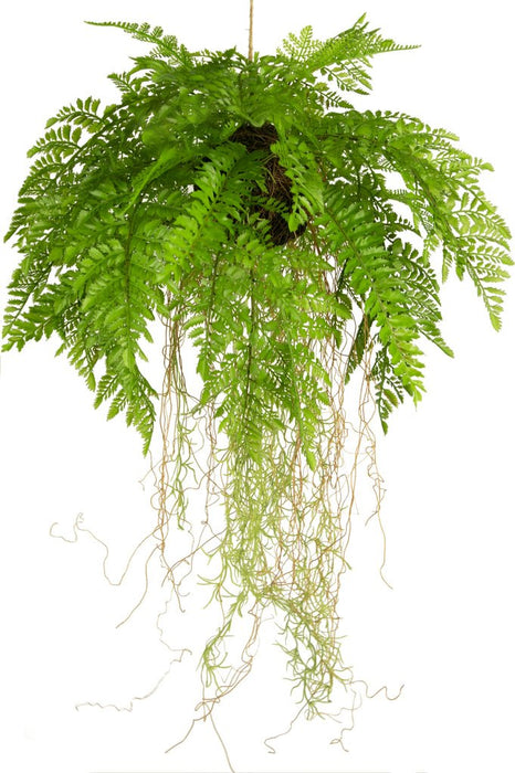 Bregne - Kunstig Faldende Plante