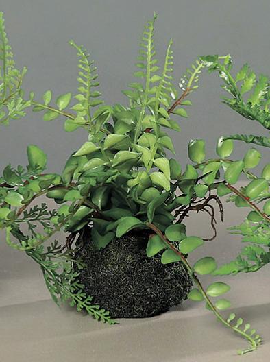 Kunstige Bregner Med Mos Base H.19Cm Grøn