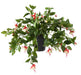 Kunstig Fuchsia Blomst 25 Cm Cremerød På Stake