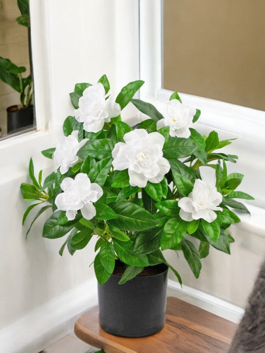 Hvid Kunstig Gardenia