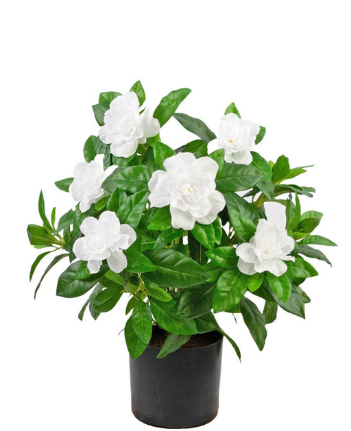 Hvid Kunstig Gardenia