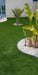 Genanvendeligt Syntetisk Græs 100 % H.3Cm 1M²
