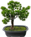 Enebær - Kunstig Bonsai