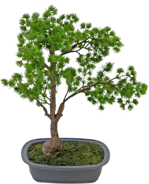 Enebær - Kunstig Bonsai